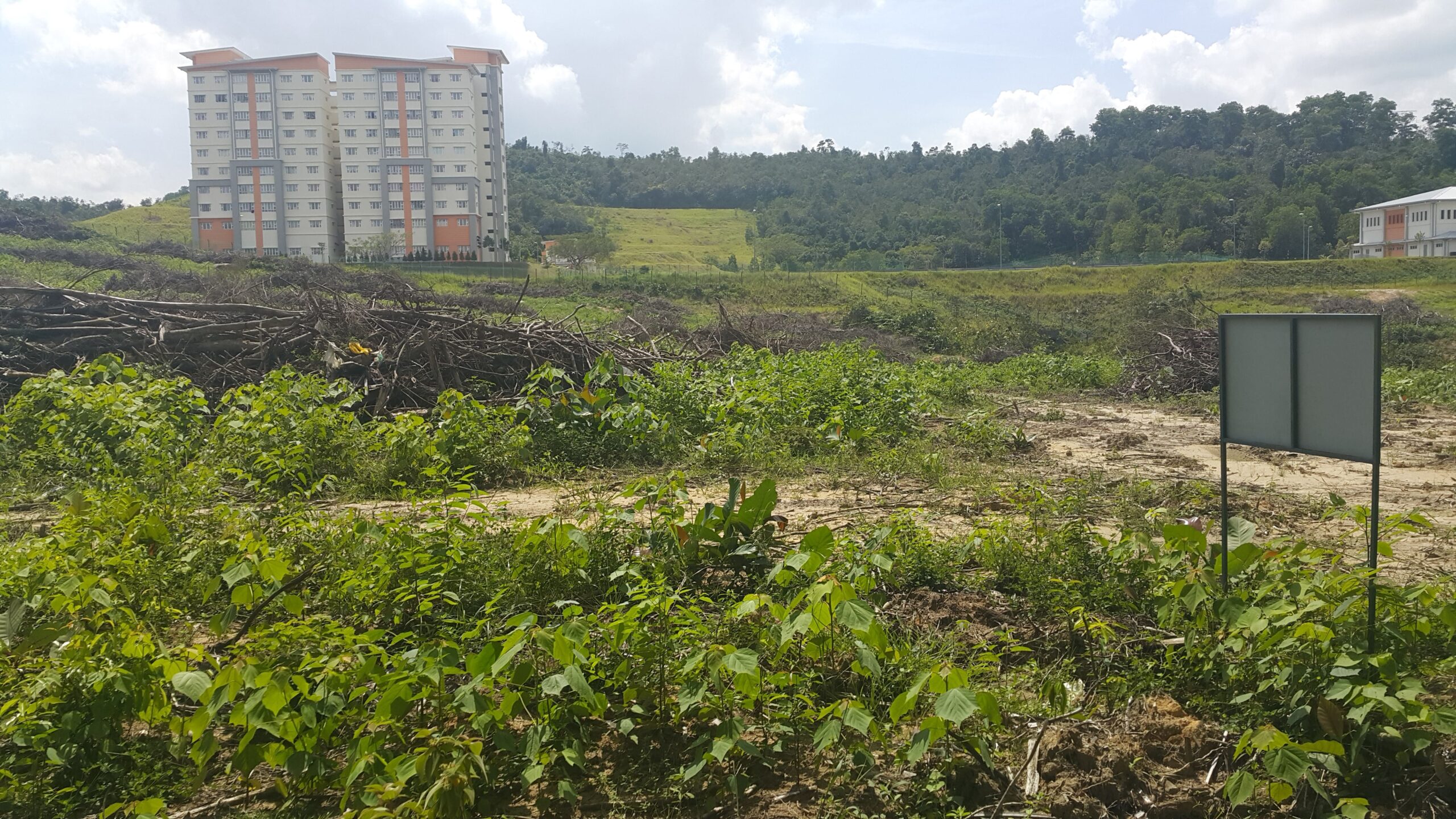 Mix Development Land