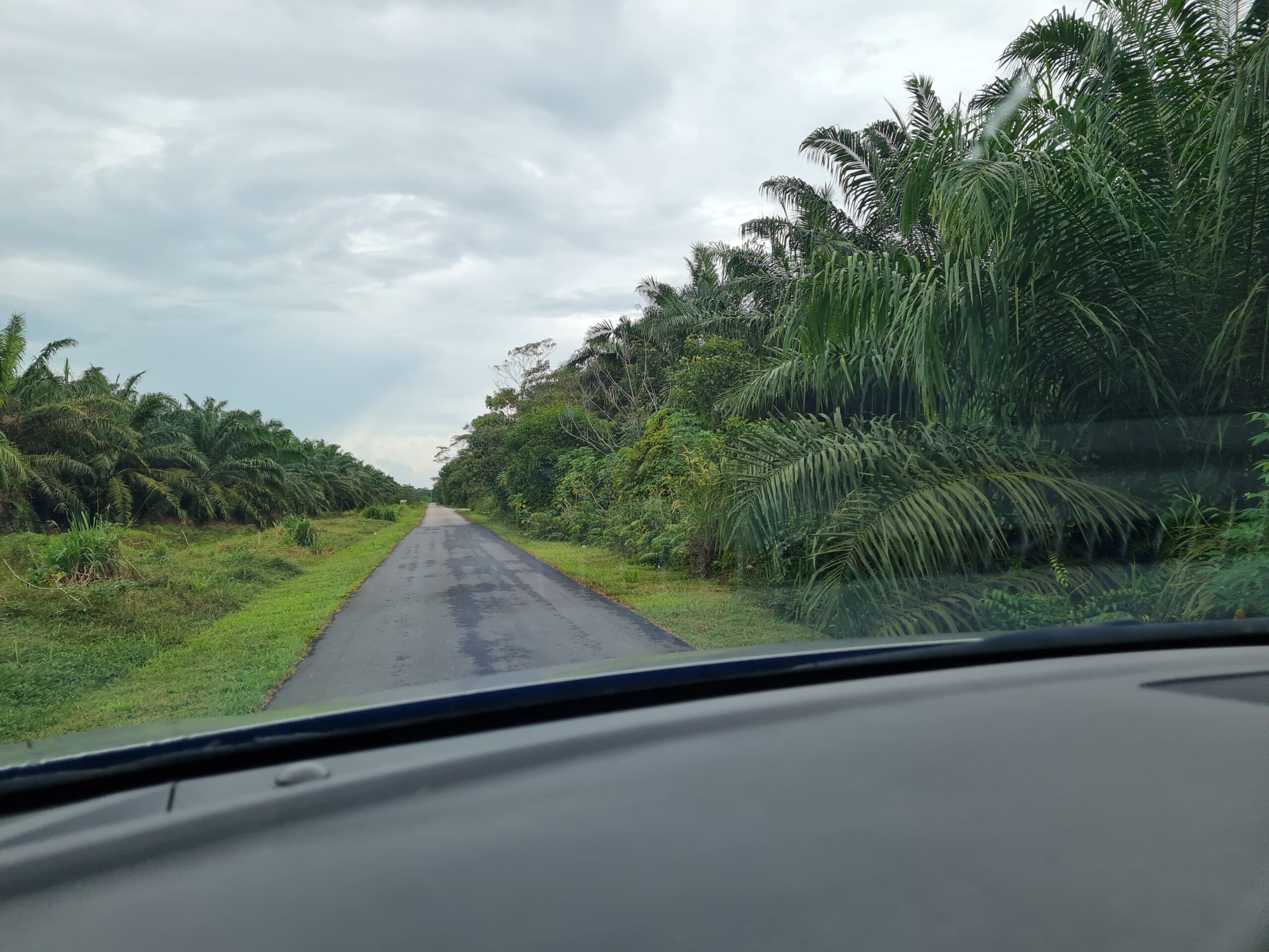 Southern Johor Land For Sale