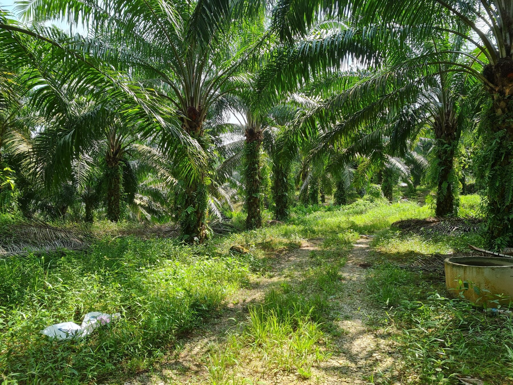 DEVELOPMENT LAND FOR SALE