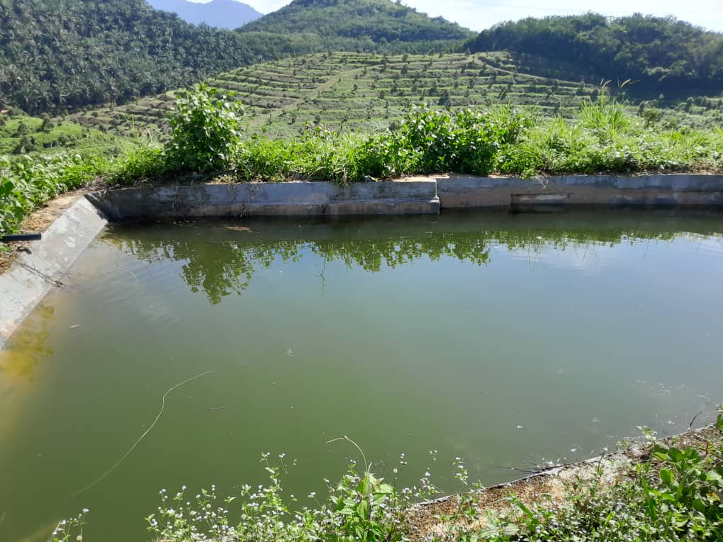Rembau Agricultural Land