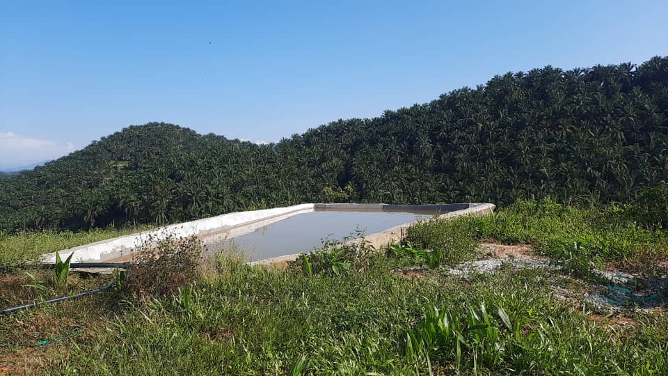 Rembau Agricultural Land